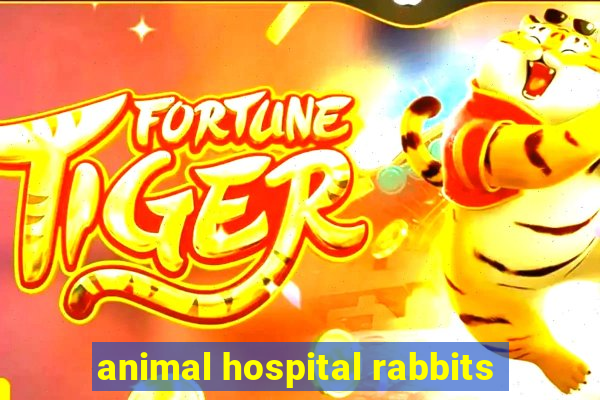 animal hospital rabbits